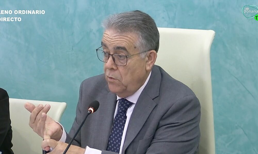 El alcalde de Almonte, Francisco Bella, interviene en el Pleno municipal