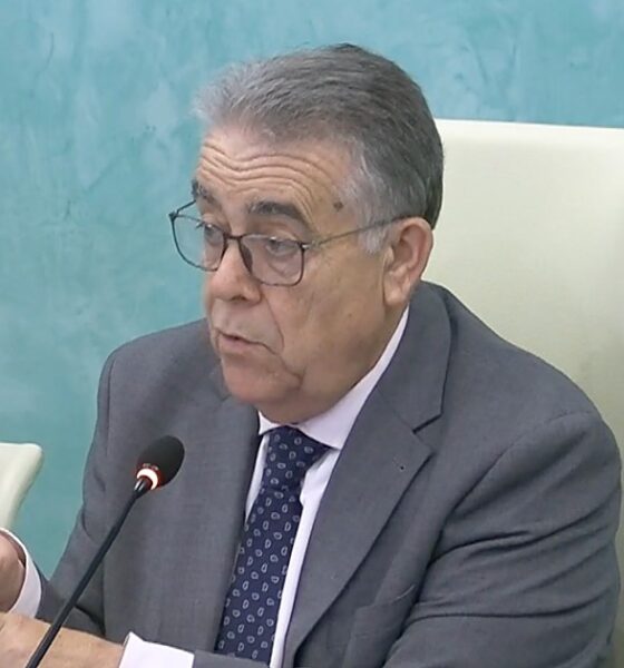 El alcalde de Almonte, Francisco Bella, interviene en el Pleno municipal